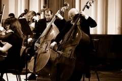 285340_494039543964594_1227505229_n