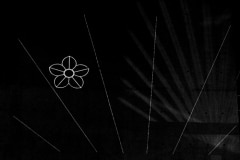 img_0270-03-web