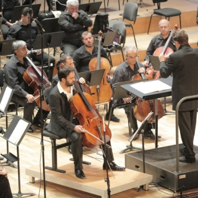 Sevak Avanesyan, Andrey Boreyko, ANPO