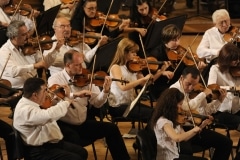 APO violins