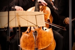 Copyright 2009 (C) Karo Kendimian Photograpy