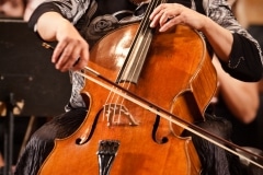 Copyright 2009 (C) Karo Kendimian Photograpy